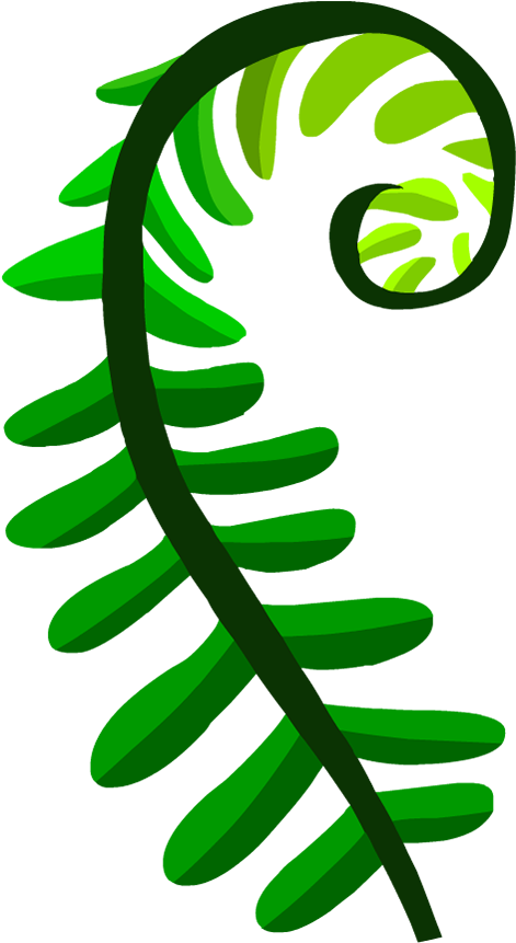 Seedless Plants - Illustration (880x880), Png Download