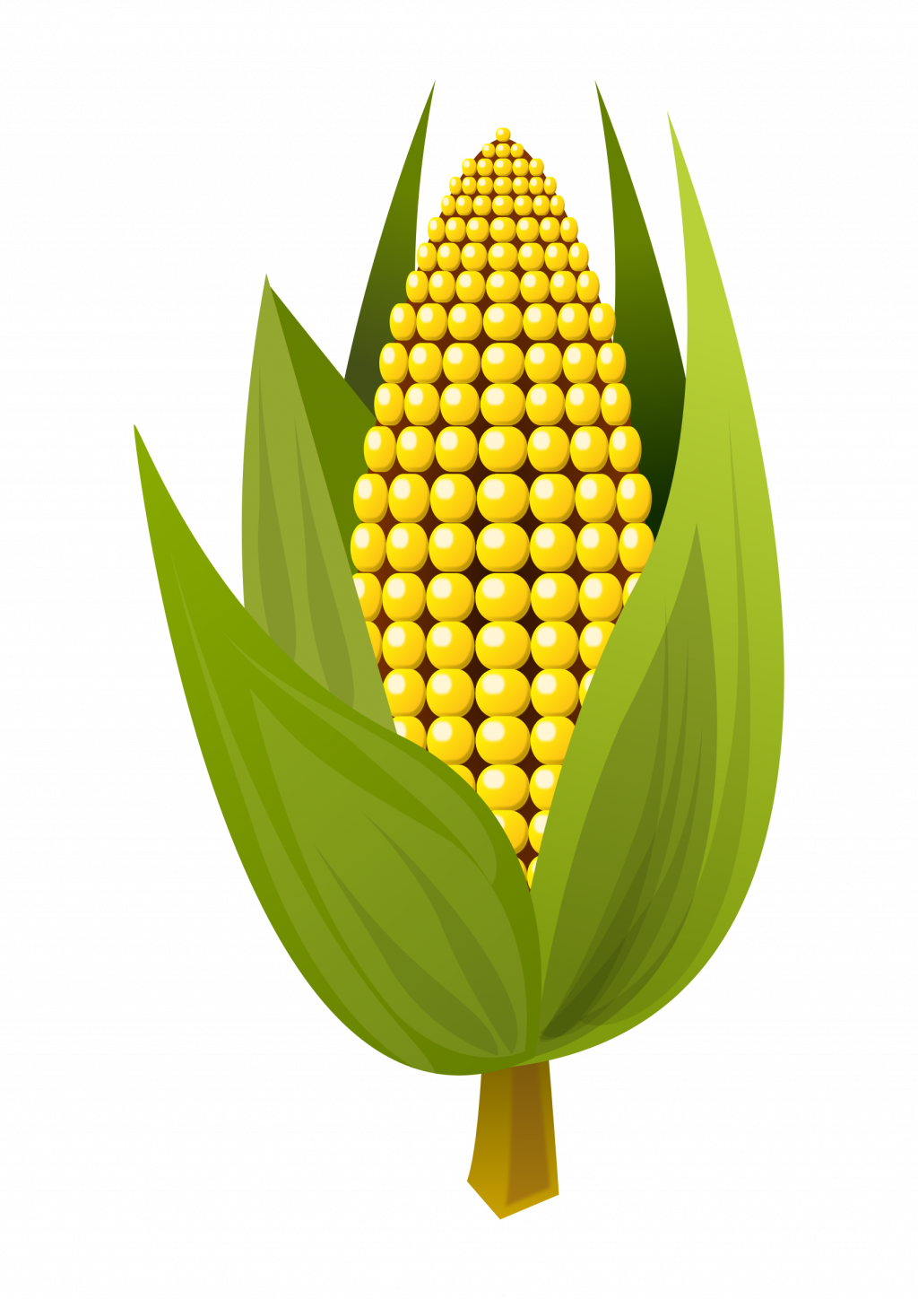 Korn Clipart Rice Corn - Corn (1024x1448), Png Download