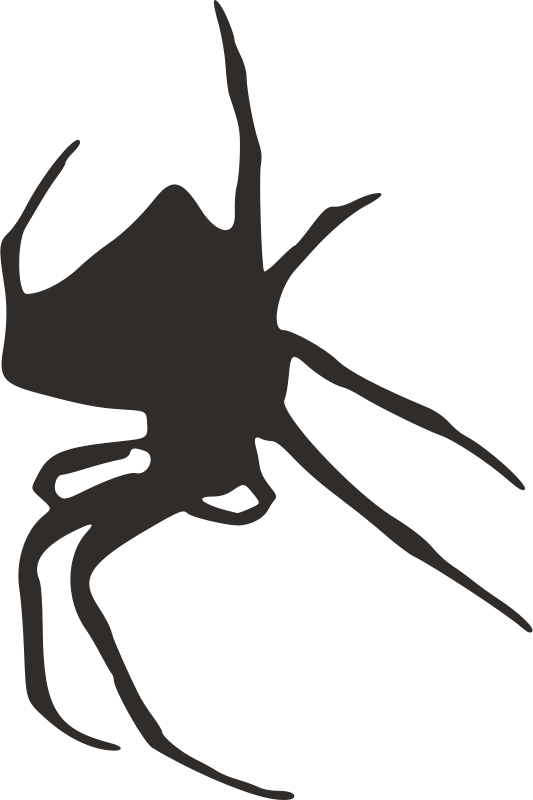 Color Spider Silhouette Png (533x800), Png Download