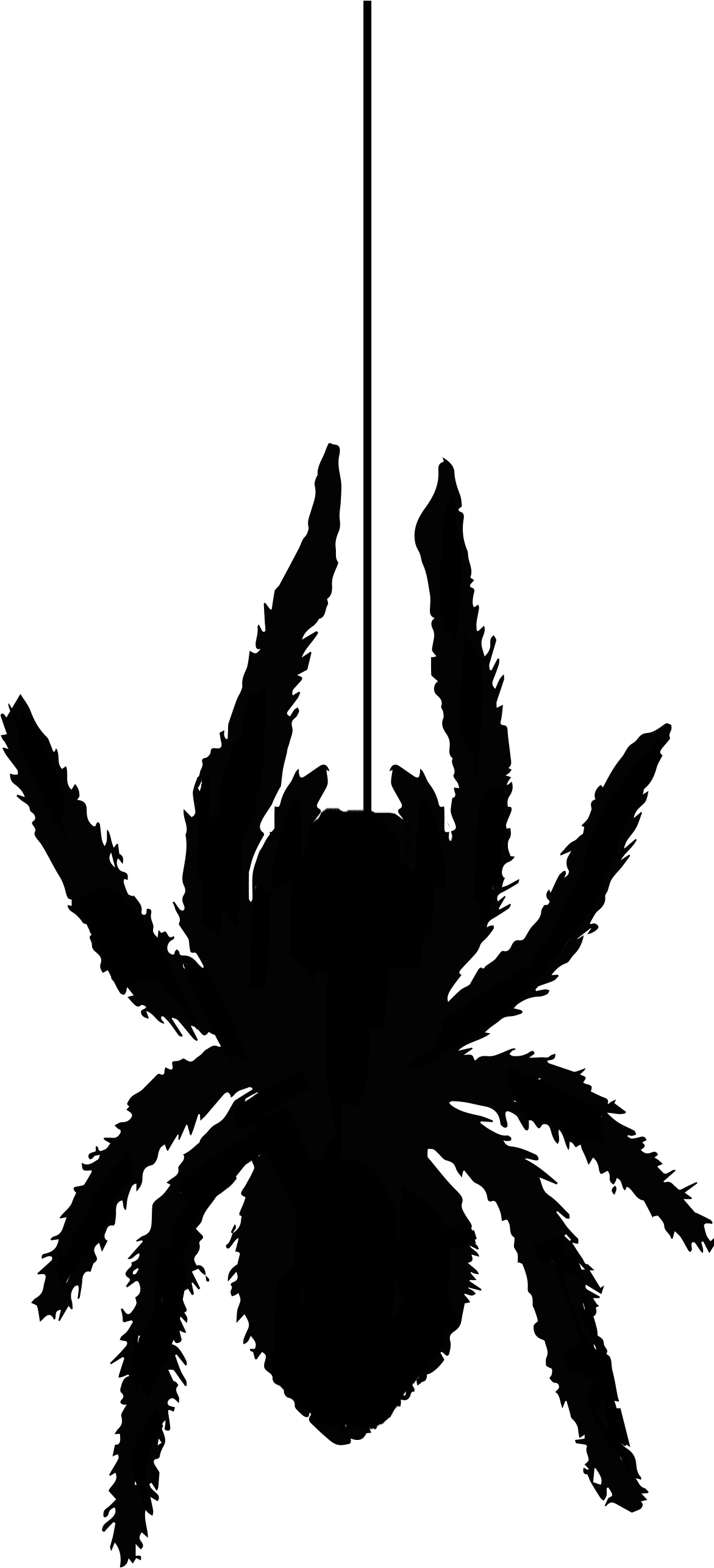 Spider Silhouette1353 Free Vintage Clip Art - Tarantula (2550x3300), Png Download