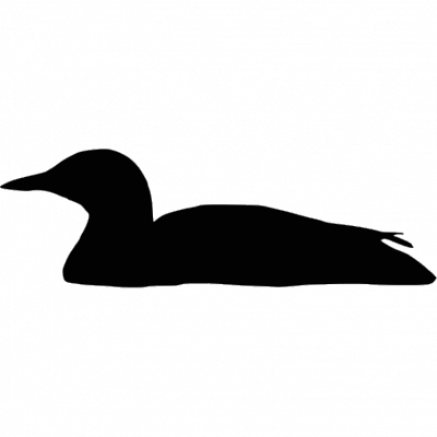 Silhouette - Yellow-billed Loon (400x400), Png Download