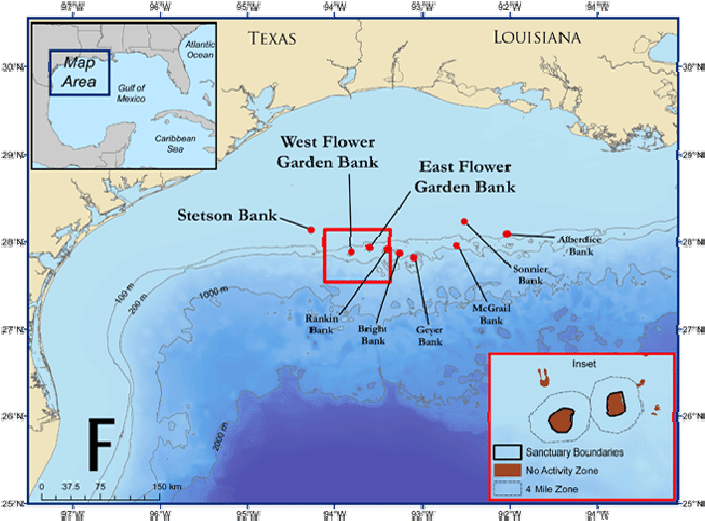 Western Gulf Of Mexico And The Location Of The Flower - Flower Garden Bank Sanctuary (713x525), Png Download