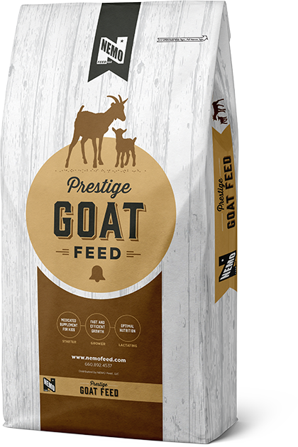 Yearly Producer Meetings - Kangaroo (420x630), Png Download