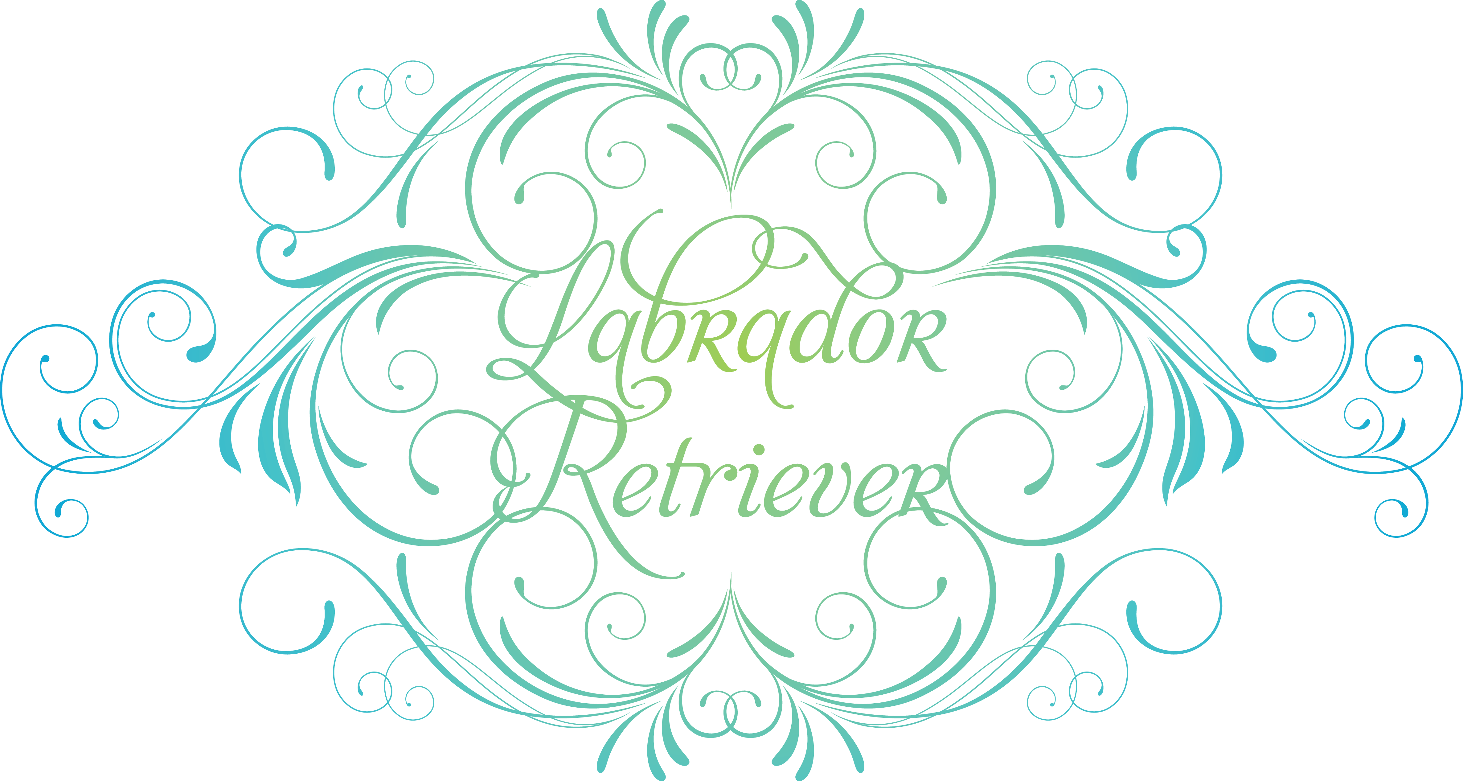 Dallas Oregon Florist A You Can Trust Elegant Designs - Russian Toy Sticker (oval) (4746x2533), Png Download