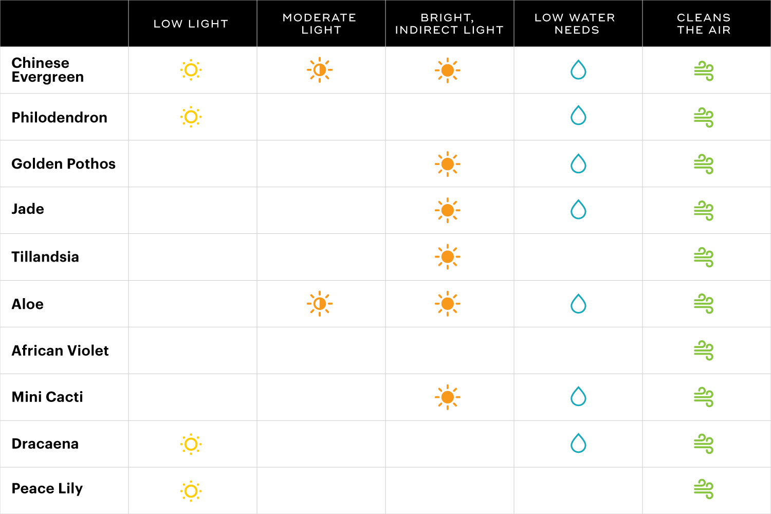 Office Plant Care Guide - Calendar (1500x1000), Png Download