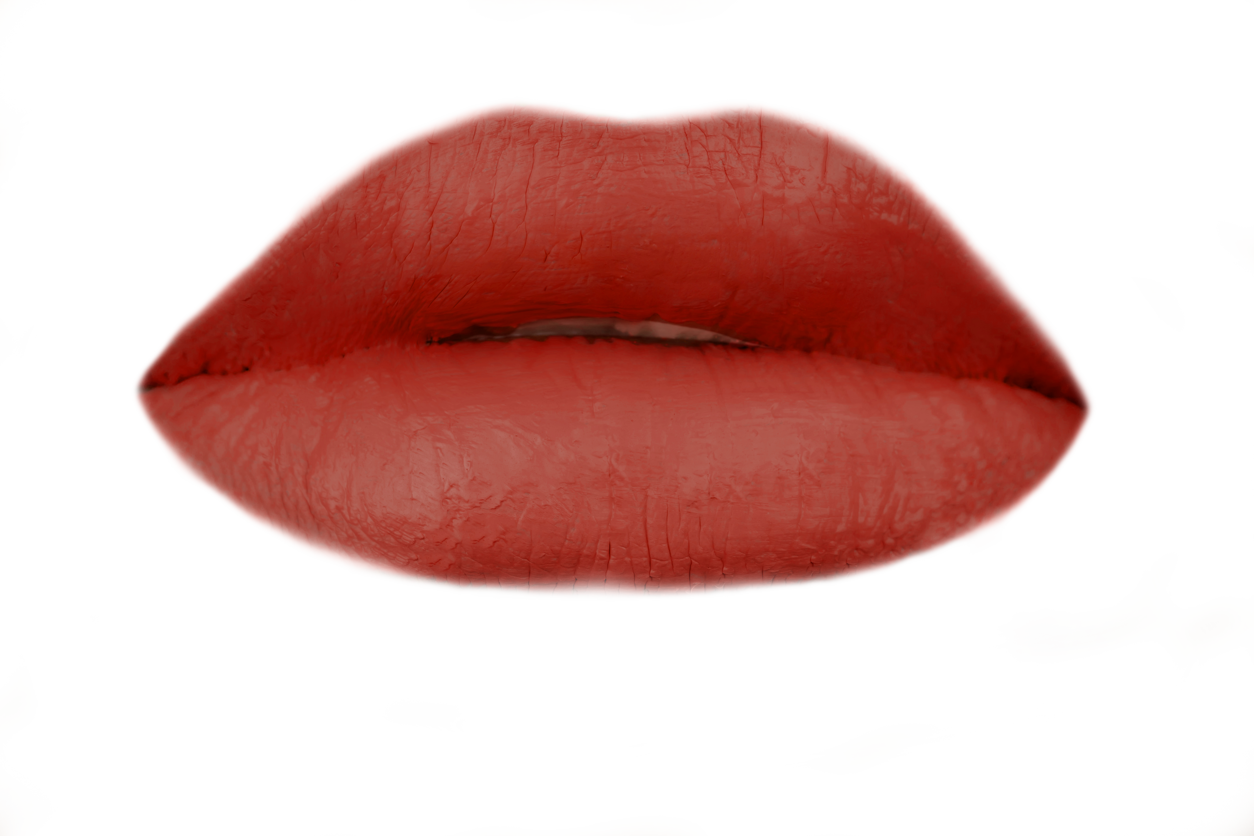 Zoom Images - Macro Photography (4267x2845), Png Download