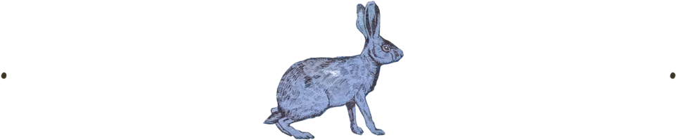 Hare - Portable Network Graphics (1000x299), Png Download