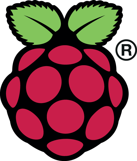 I'm A Bike Messenger By Day, Aspiring Actor By Night, - Raspberry Pi 3 Icon (550x650), Png Download
