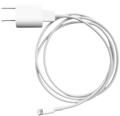 Oem Apple Iphone Ipad Charger - Usb (498x664), Png Download