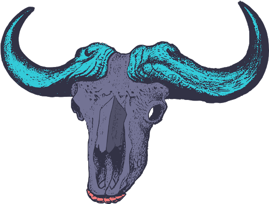 Photo - Bull (530x530), Png Download