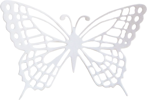 Paper (600x410), Png Download