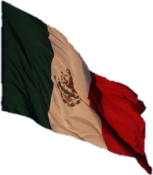 Bandera Mexico Mexicana Mexicolindo - Flag (515x590), Png Download