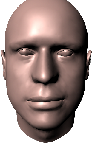 Male Head - 3d Head Model Png (640x480), Png Download