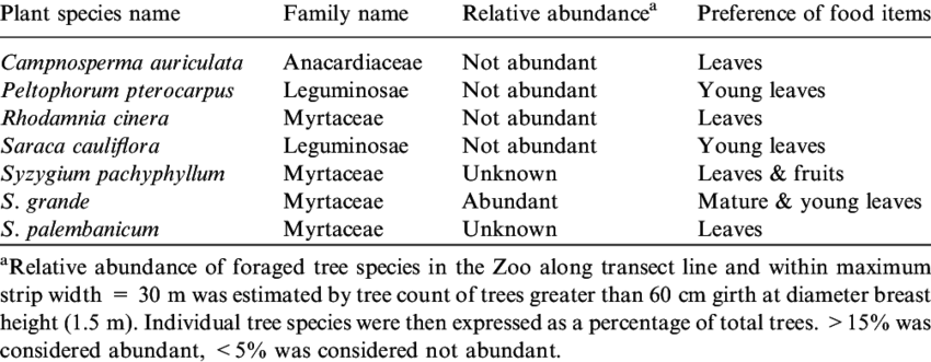 Plant Food Items Consumed By The Malayan Flying Lemurs - Food (850x331), Png Download