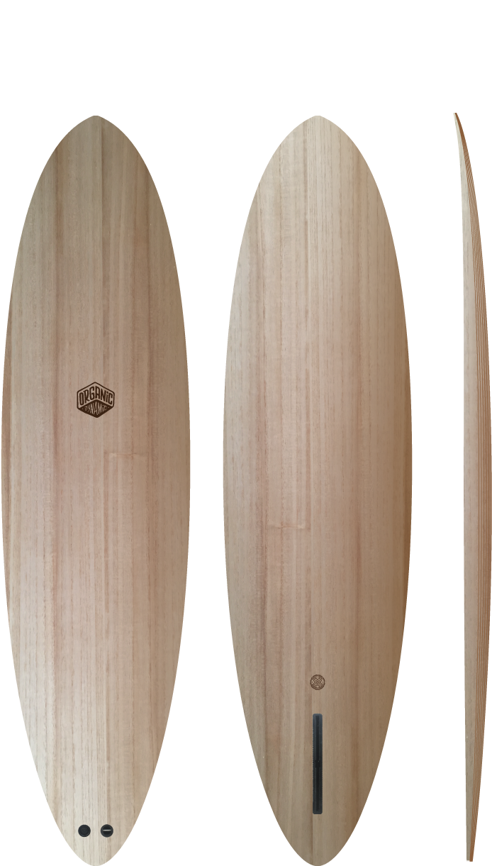 Splinter - Surfboard (1417x1417), Png Download