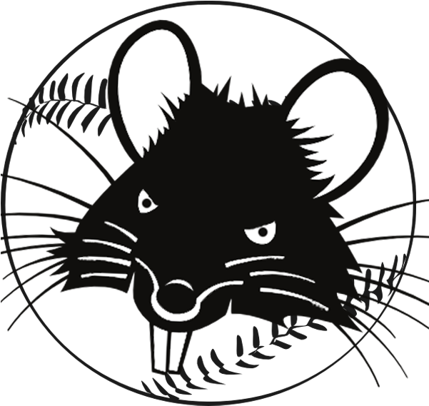 Rats Baseball Clipart - El Amigo Abnegado [book] (600x600), Png Download
