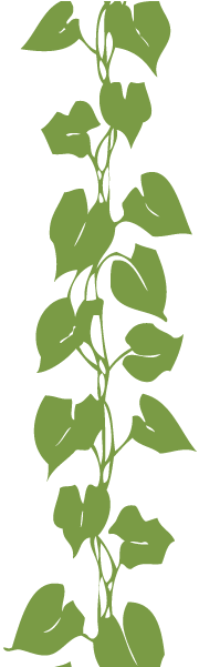 Beanstalk Final 241x - Illustration (241x600), Png Download