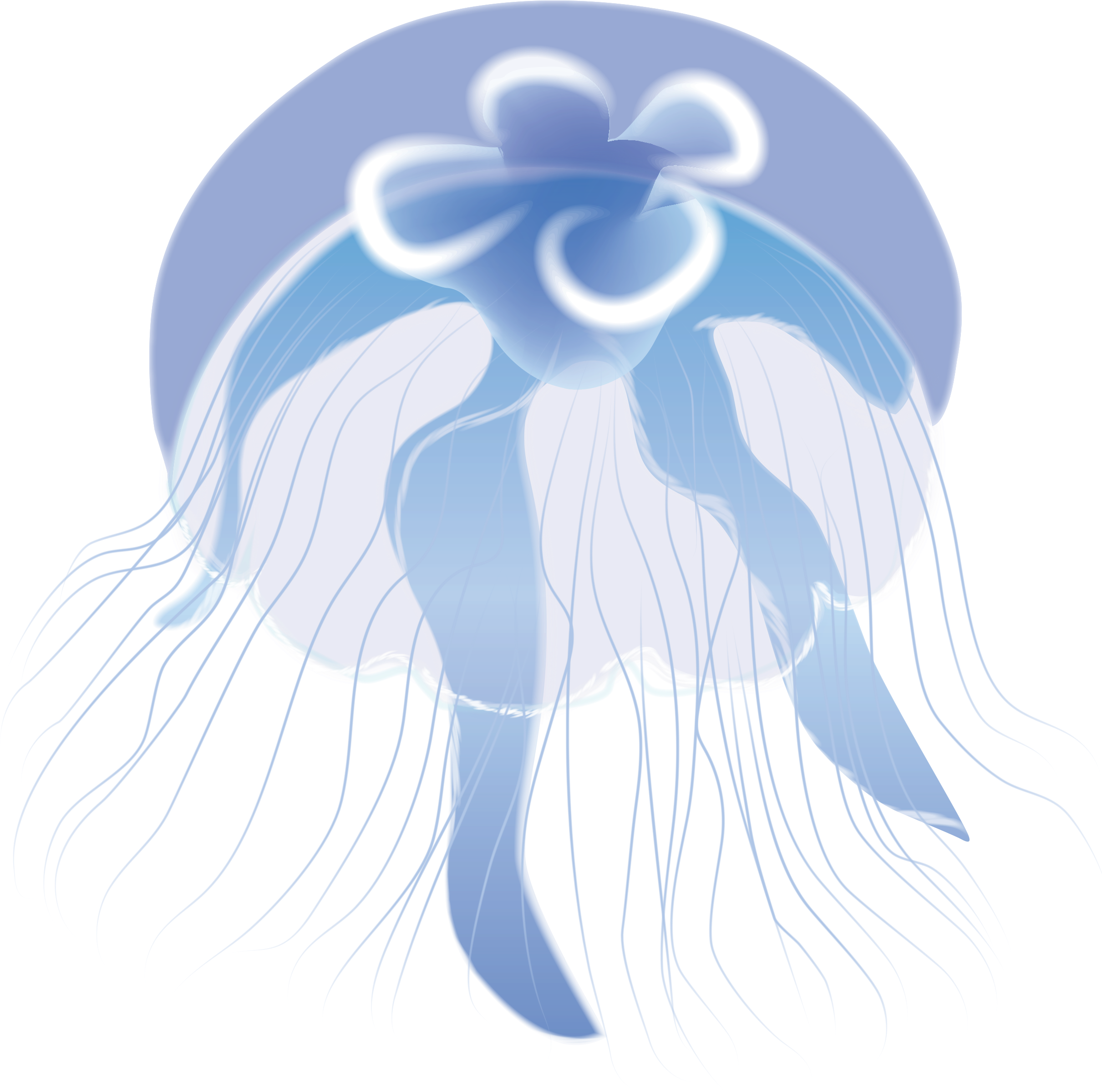 Download Png - Illustration (2420x2411), Png Download