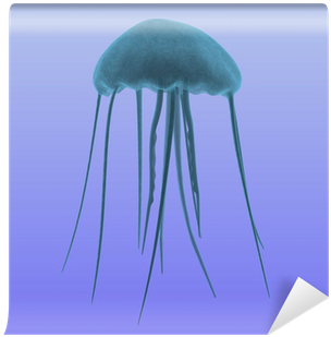 Jellyfish (400x400), Png Download