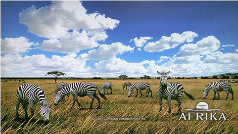 Afrika Theme - Savanna (480x480), Png Download