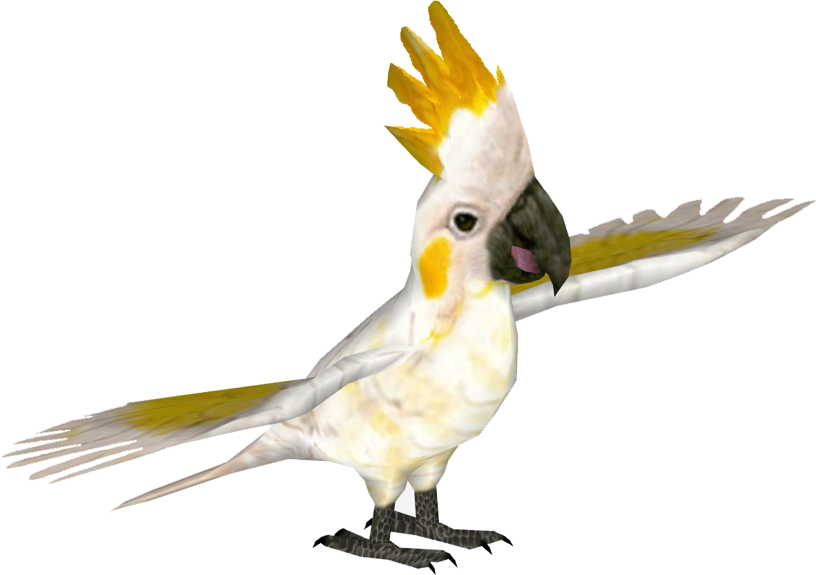 Yellow-crested Cockatoo (1181x1181), Png Download