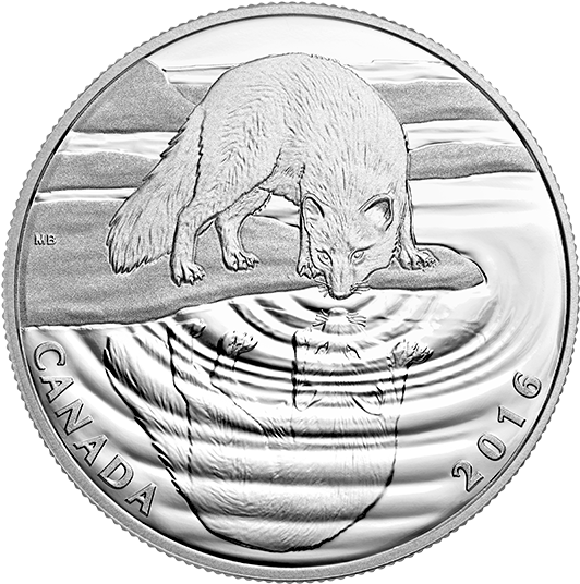 Pure Silver Coin Reflections Of Wildlife - Silver (570x570), Png Download