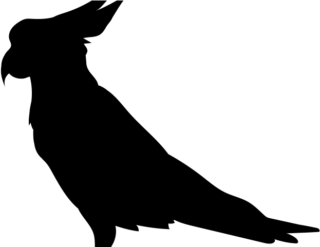 Cockatoo Clipart Transparent - Cockatoo Silhouette (640x480), Png Download