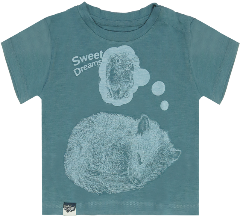 Lion Of Leisure Baby T-shirt Arctic Fox - Infant (960x720), Png Download