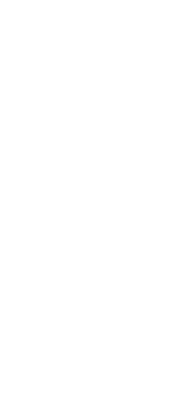 Dandelion White Png (276x588), Png Download