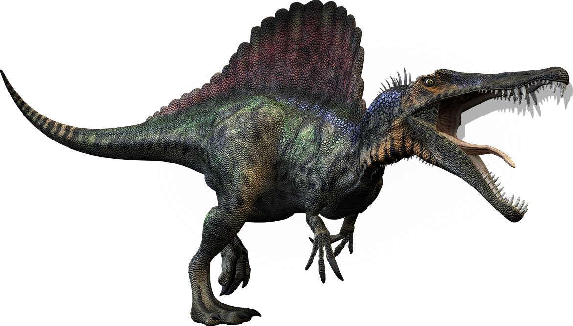 Spinosaurus - T Rex Spinosaurus Dinosaurs (1171x666), Png Download