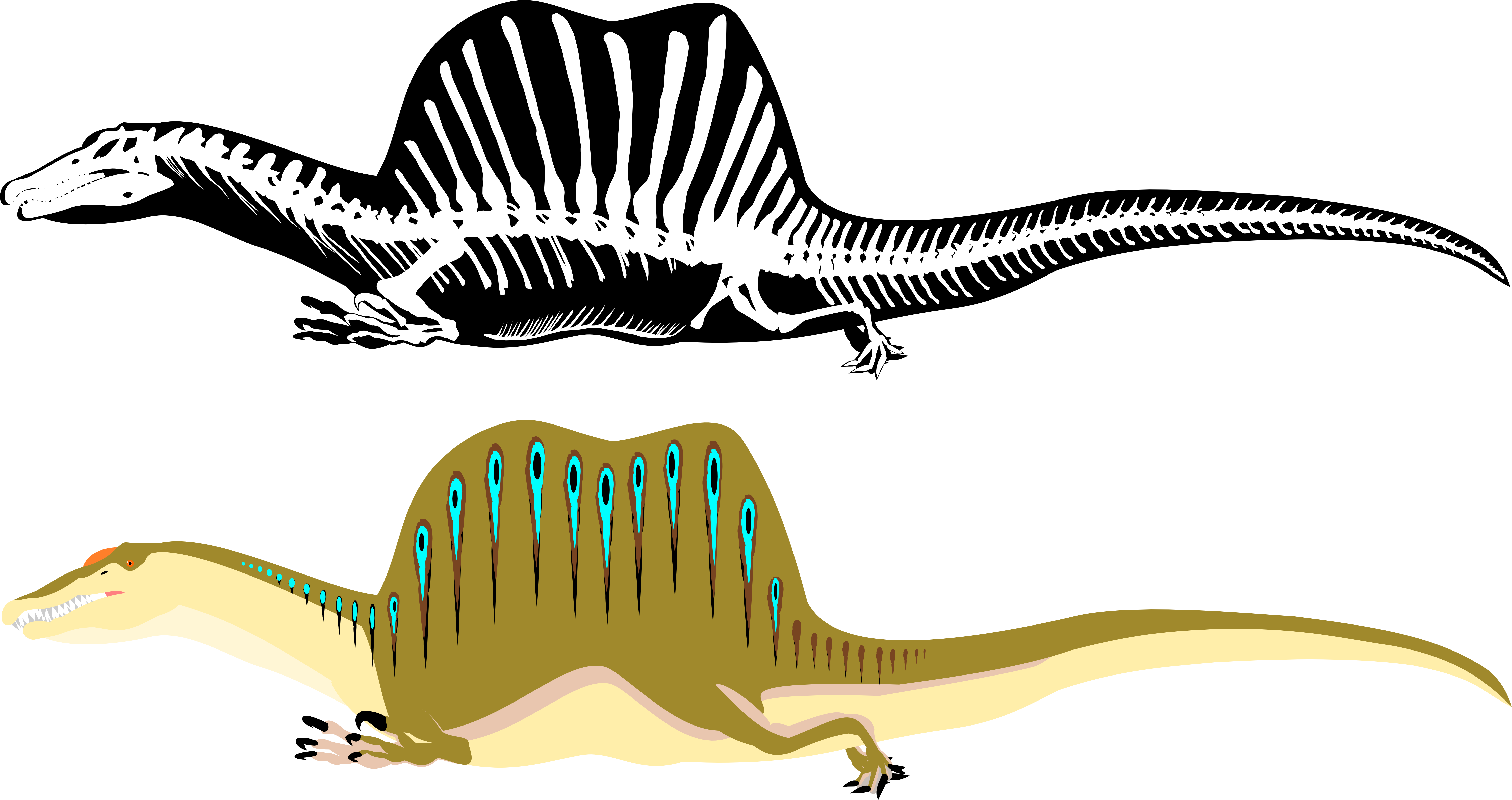 Spinosaurus Slide Skeleton By Michell Vall-d8gbdxf (5989x3168), Png Download