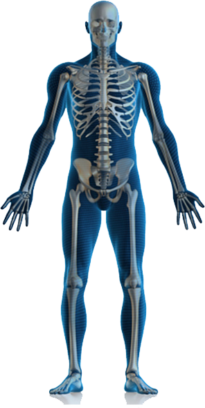 Locate The Pain - Physiotherapy All Body Pain (296x589), Png Download