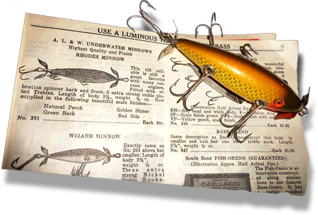 Image Layer Image Layer - Longhorn Beetle (634x429), Png Download