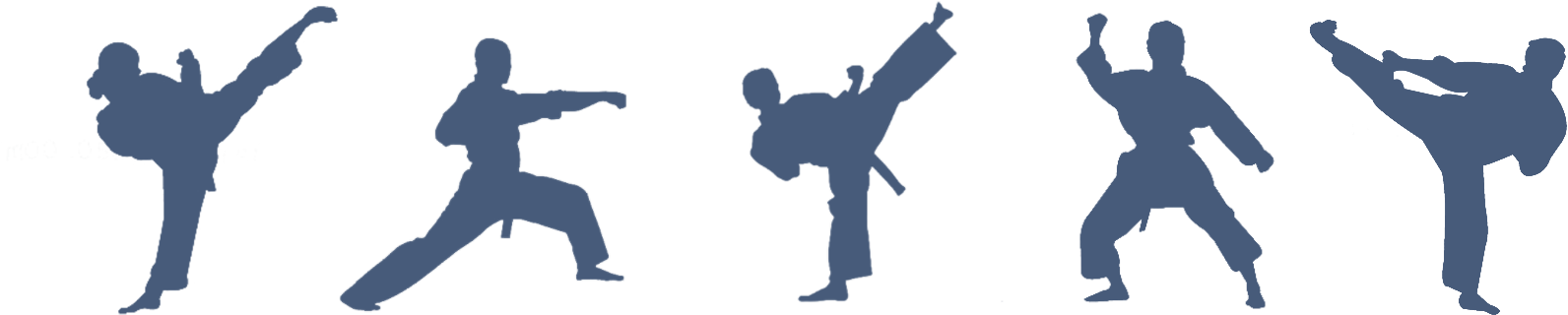 Our Committee 2018/19 - Wallhogs Martial Arts Lunge Silhouette Cutout Wall (1660x380), Png Download