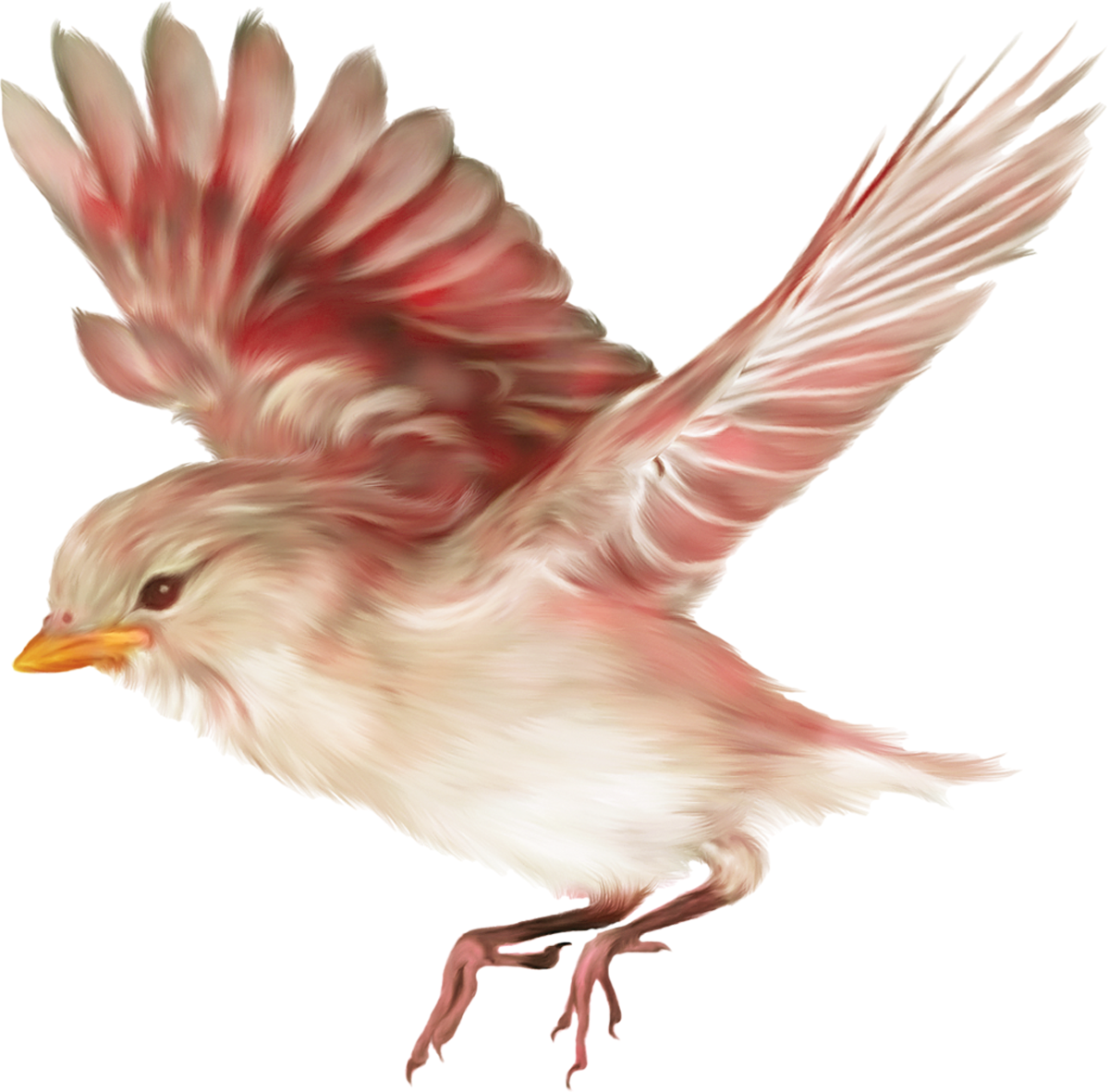 Aves Png - Drawing Birds (1200x1182), Png Download