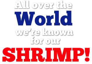 Mama Blue's Southern Charmed Fried Shrimp - Fifa World Cup 2010 Banner (1000x572), Png Download