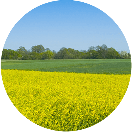 Air Purifiers For Pollen Allergies - Allergy (450x450), Png Download