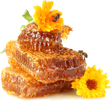 Features - Honey Balm Allnatural Beeswax Lip Balm (367x338), Png Download