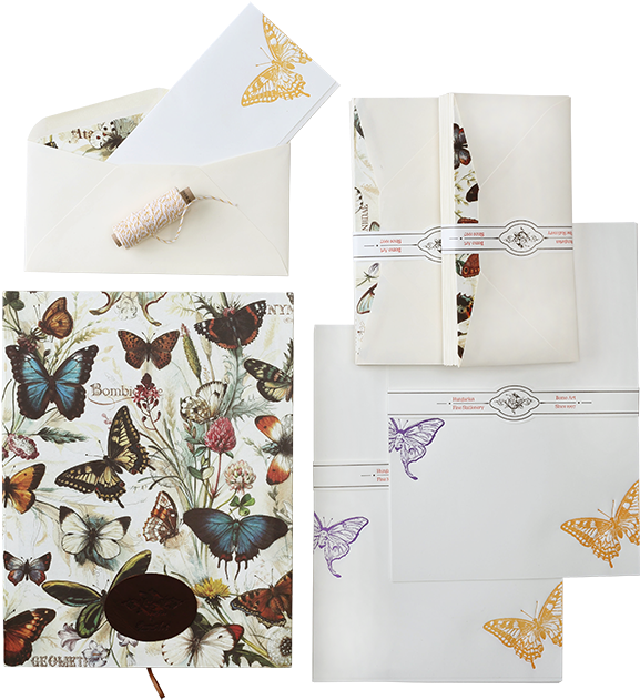 Butterflies - Bomoart Butterflies Wrapping Paper (660x660), Png Download