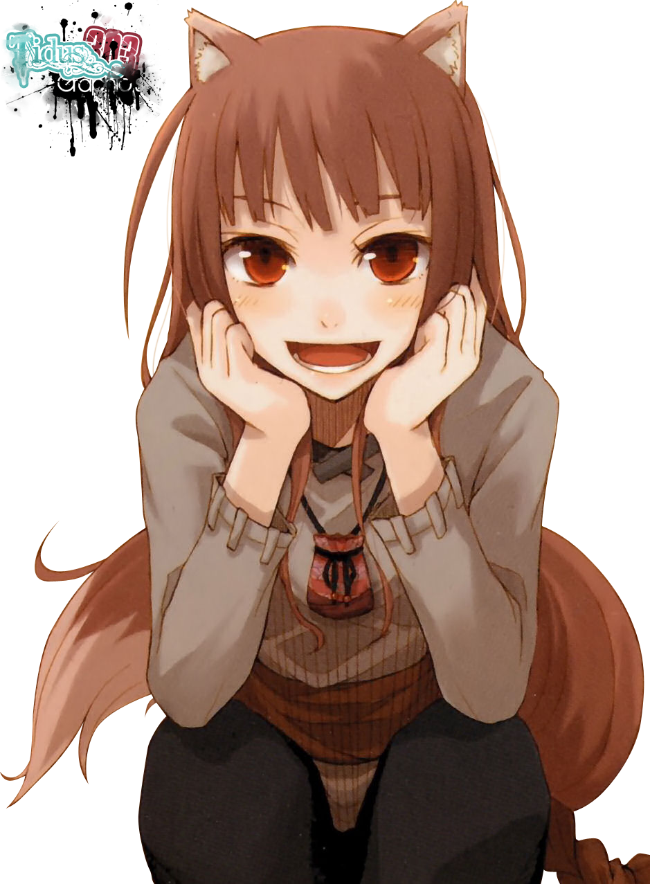 Spice And Wolf Png Pic - Spice And Wolf Light Novel (939x1277), Png Download