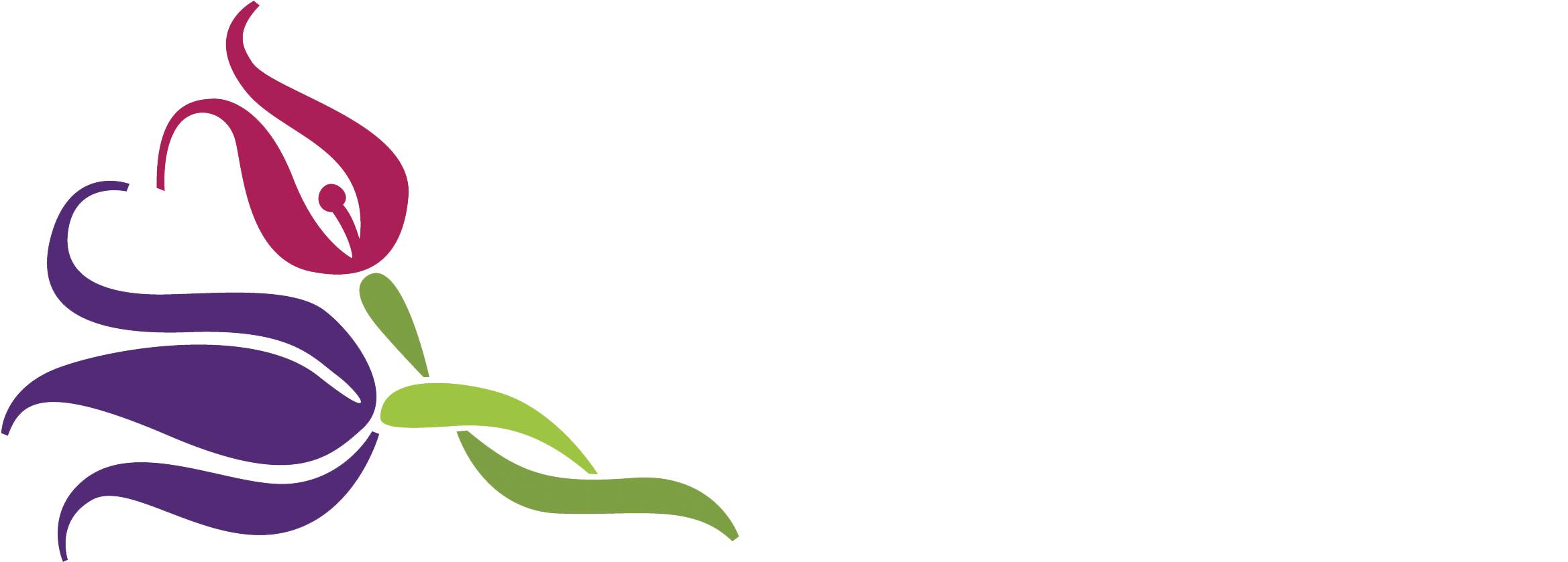The Twisted Tulip - Logo (2400x900), Png Download