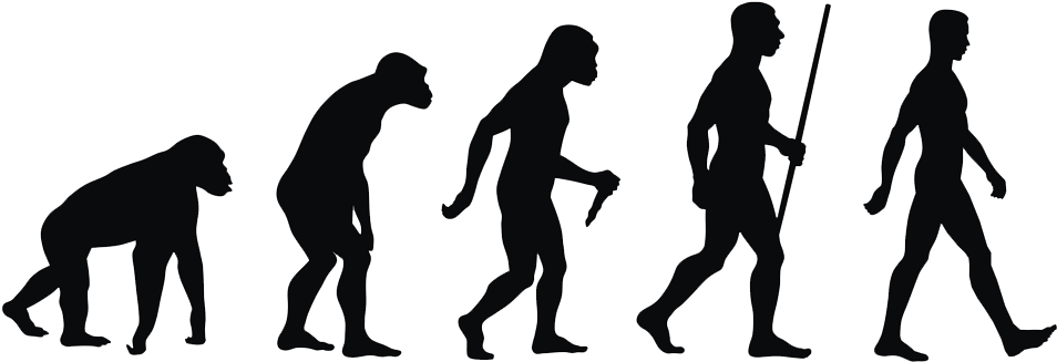 Human Nutrition Needs - Human Evolution (1000x383), Png Download