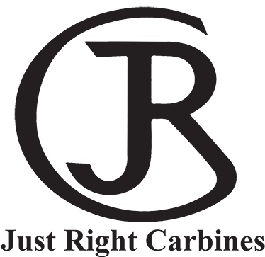 Sig 9mm Carbine Car Repair Manuals And Wiring Diagrams - Circumcision And Human Rights - Hardcover (400x376), Png Download
