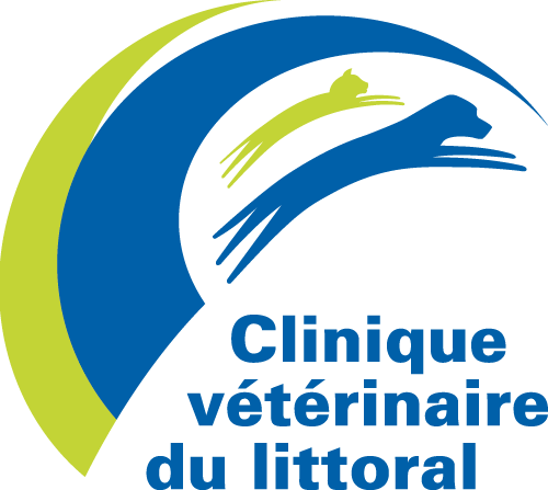 Pour Un Chien Heureux Et En Santé - Route 1 Antiques (500x447), Png Download