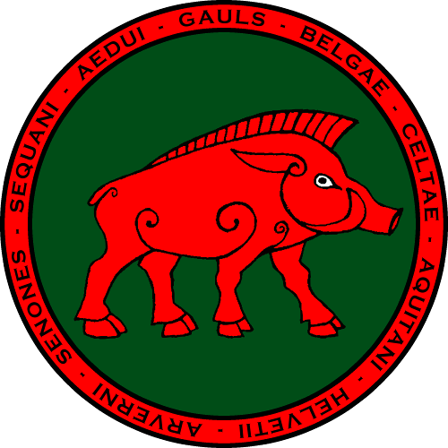 Gaul Boar's Head Seal V2 Shirt - Gaul Boar (500x500), Png Download