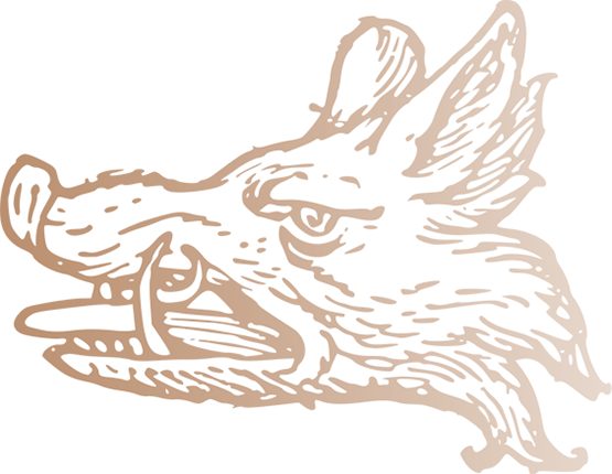 Boar's Head - Wild Boar In Heraldry (555x430), Png Download