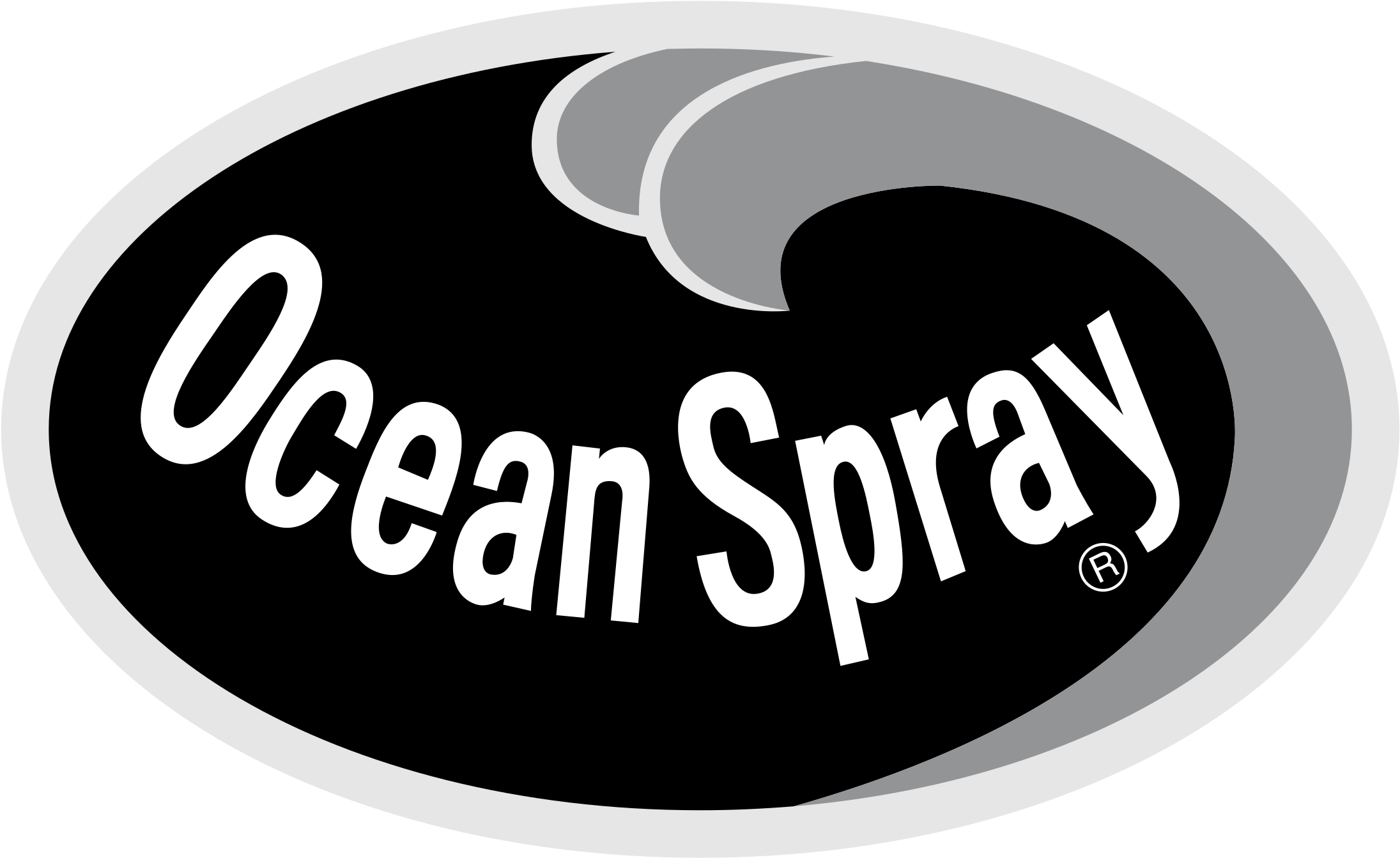 Ocean Spray Logo Png Transparent - Ocean Spray Logo Png (2400x2400), Png Download