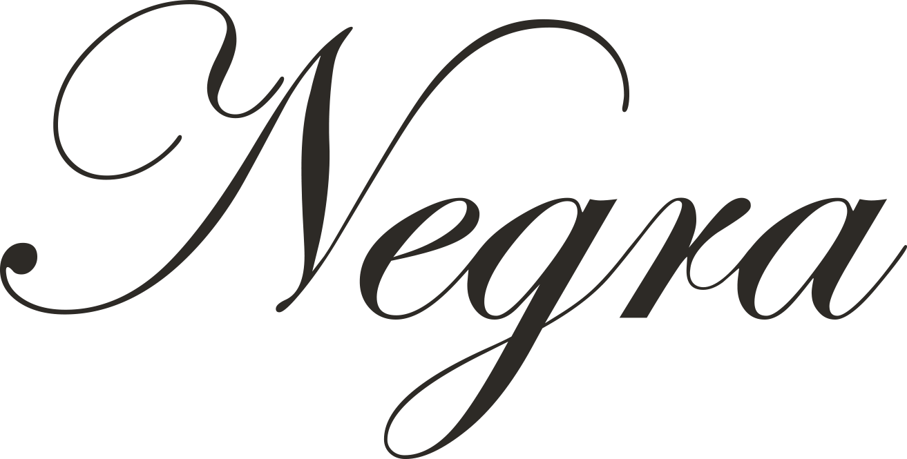 Heading Negra - Modelo Negra Logo Png (1313x665), Png Download