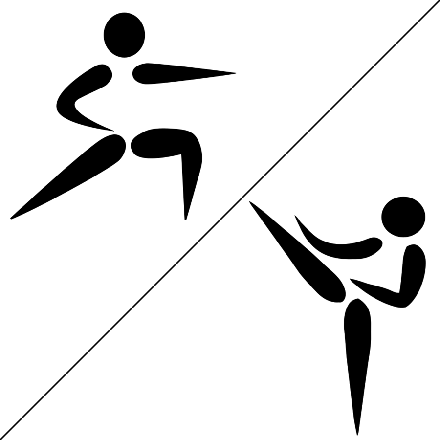 Download Mma Pictogram Clipart Mixed Martial Arts Ultimate - Martial Arts Pictogram (900x900), Png Download