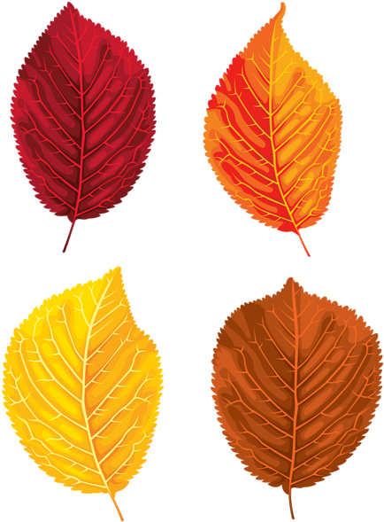Fall Leaves Set Clipart Png Image - Clip Art (441x600), Png Download